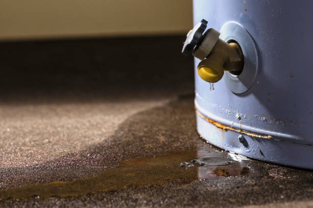 Best Water damage contractors near me  in Carolina Forest, SC