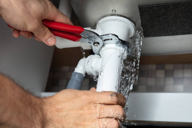 Best Water damage mitigation services  in Carolina Forest, SC
