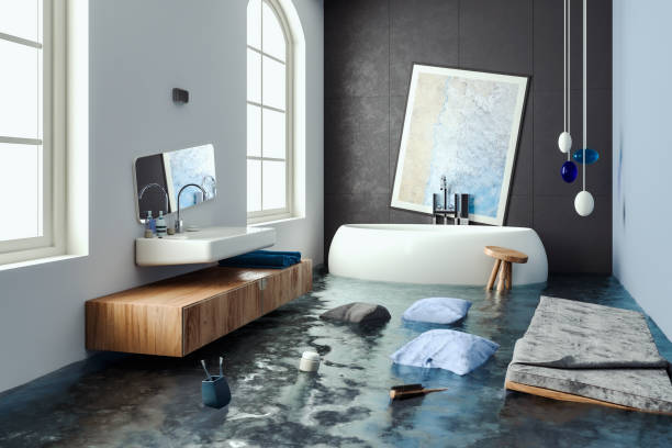 Best Mold removal after water damage  in Carolina Forest, SC
