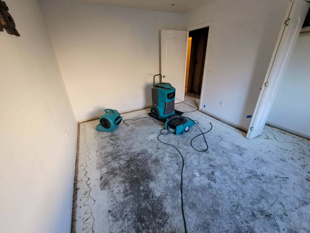 Best Sewage cleanup and water damage restoration  in Carolina Forest, SC