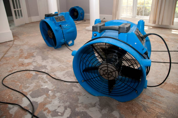 Best Basement water damage restoration  in Carolina Forest, SC