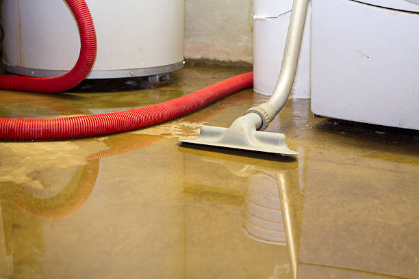 Best 24/7 water damage repair  in Carolina Forest, SC