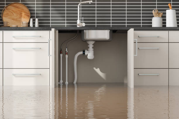 Professional Water damage restoration in Carolina Forest, SC
