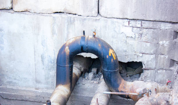 Best Water damage cleanup near me  in Carolina Forest, SC