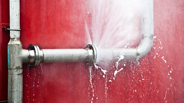 Best Water damage restoration specialists  in Carolina Forest, SC
