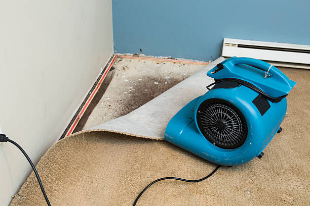 Best Water damage restoration near me  in Carolina Forest, SC
